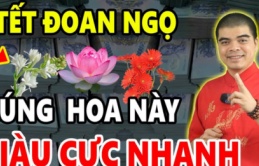 Tết Đoan Ngọ đặt 5 loại quả này lên bàn thờ: Gia chủ sung túc, đếm tiền mỏi tay 