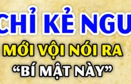 Tiền hết có thể kiếm lại, nhưng để lộ cho người ngoài biết 3 bí mật này sẽ khiến gia đình ngày