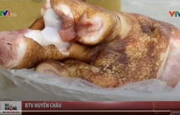 Cận cảnh thủ đoạn biến lợn chết thối vứt đi thành lợn Mán đặc sản ở Tam Đảo