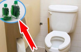 Vì sao nhiều người hay đặt một lọ dầu gió trong nhà vệ sinh: Thực sự họ rất thông minh 