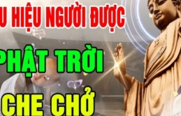 Ở đời có 2 kiểu người vĩnh viễn không bị cuộc sống vùi dập, chỉ cần sống tốt trời xanh sẽ an bài