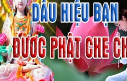 10 dấu hiệu cho thấy bạn được Thần Phật che chở, cuộc đời may mắn