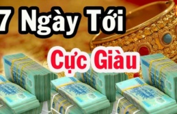 Tuần mới từ 22/7 - 28/7 Dương lịch: 3 tuổi ăn lộc Thánh Cô tiền vào như nước Sông Đà