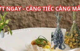 Đừng tiếc, vứt bỏ ngay 3 thứ này trong nhà thì phong thủy tốt lên, thu hút sự giàu có may mắn