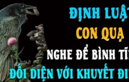 Về già muốn con cái báo hiếu phải nhớ 'định luật con quạ', biết sớm phúc càng dày