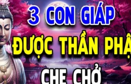 Cuối tuần 3 con giáp đụng đâu cũng có tiền, cuộc sống dư dả, may mắn khó ai sánh kịp