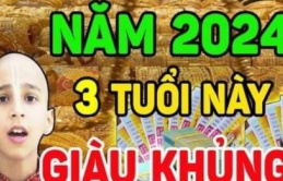 Năm 2024 là thời kỳ HOÀNG KIM đến với 3 con giáp, ôm cục tiền khủng, sự nghiệp cực lên hương