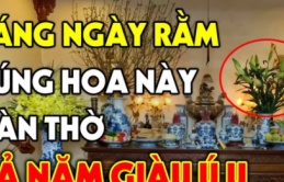 Chọn hoa cúng Rằm, 3, 5 hay 7 bông mới hút lộc: Đây là con số mang lại may mắn