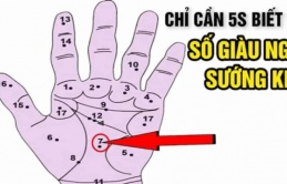 Chỉ cần 5s biết ngay số giàu nghèo sướng khổ: Có nốt ruồi này ở bàn tay cả đời hưởng phúc!