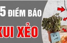 Nhà sắp gặp vận xui thường có điểm chung này: Gia đình nào không có thật đáng ăn mừng