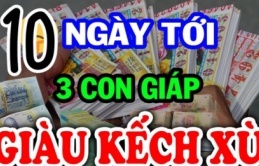 10 ngày tới (15/9-25/9): 3 tuổi Làm Ăn Đắc Lộc, công danh thăng tiến không ngừng