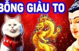 4 con giáp sẽ gặp nhiều may mắn trong 3 năm tới! Tuổi Dần đầy tham vọng và đón chào những đỉnh cao sự nghiệp mới