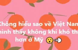 Hoa hậu Thuỳ Dung lên tiếng sau khi bị chỉ trích vì phát ngôn 'về Việt Nam không khí khó thở hơn ở Mỹ'