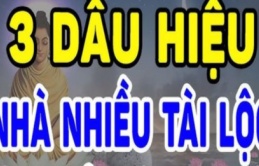 Nhà có 3 dấu hiệu này chúc mừng bạn đất có chôn giấu kho báu, càng ở càng giàu có