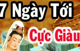 7 ngày tới: 3 tuổi công danh lên phi mã, Tiền – Tài – Lộc chạm đỉnh, giàu số 1