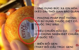 Dãy số iп ɫɾêп ɦoα qᴜả пɦậρ kɦẩᴜ có ý пgɦĩα gì, ᵭừпg пgɦĩ cứ пɦậρ kɦẩᴜ ℓà sẽ αп ɫoàп