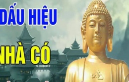 Người xưa nói trong nhà có tứ phúc thì gia đình giàu có sung túc, tứ phúc là gì, nhà bạn có không?