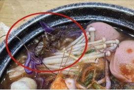 Hà Nội: Khách hoảng sợ phát hiện con gián 'phơi bụng' trong bát mỳ