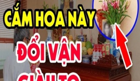 Hoa cắm bàn thờ đặt mấy bông: 5 hay 7 thì có lộc? Đây là con số chính xác