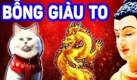 4 con giáp sẽ gặp nhiều may mắn trong 3 năm tới! Tuổi Dần đầy tham vọng và đón chào những đỉnh cao sự nghiệp mới