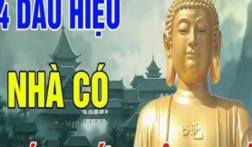 Trong nhà có 4 thứ chứng tỏ đất đai có lộc, càng ở càng may, đừng dại mà bán đi