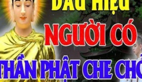 Ở đời có 2 kiểu người vĩnh viễn không bị cuộc sống vùi dập, chỉ cần sống tốt trời xanh sẽ an bài