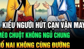 Đừng bao giờ dính líu đến 6 loại người này vì họ sẽ hút cạn năng lượng của bạn