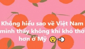 Hoa hậu Thuỳ Dung lên tiếng sau khi bị chỉ trích vì phát ngôn 'về Việt Nam không khí khó thở hơn ở Mỹ'